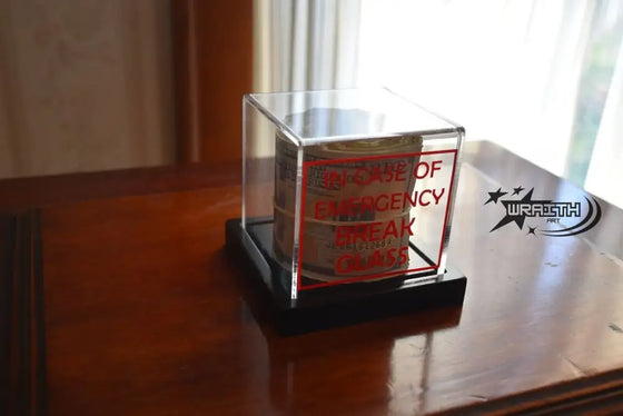 Ultra Realistic Money Roll Display - In Case of Emergency Break Glass - WraithArt